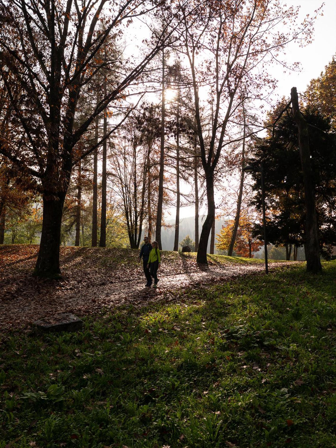 Innesti Rooms&apartments - Le Pergine Valsugana